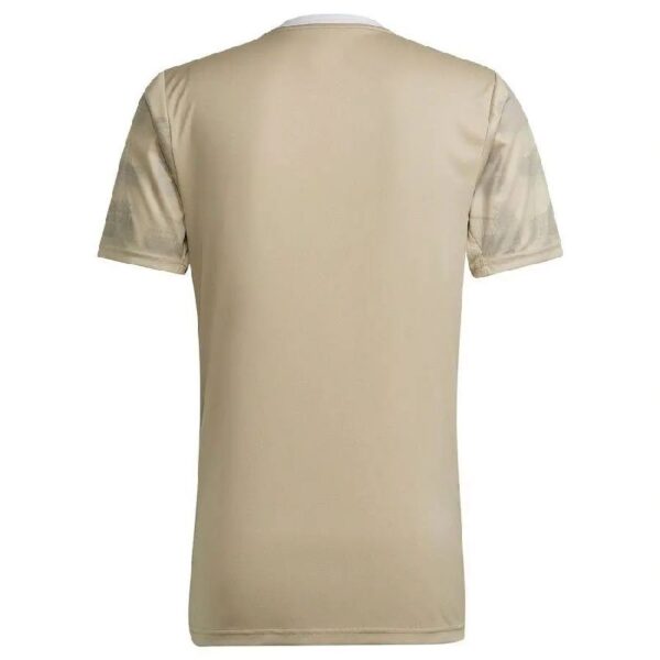 Ajax 2223 Third Jersey