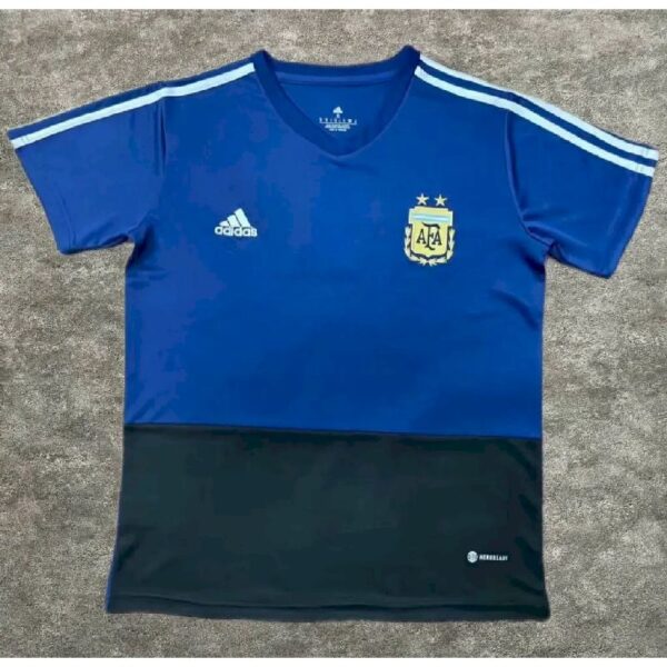 Argentina 2022 Training Jersey 36216