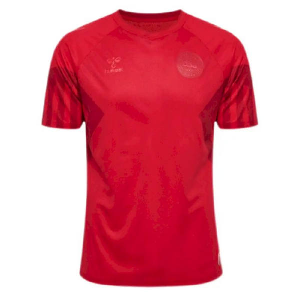 Denmark 2022 World Cup Home Jersey 47543