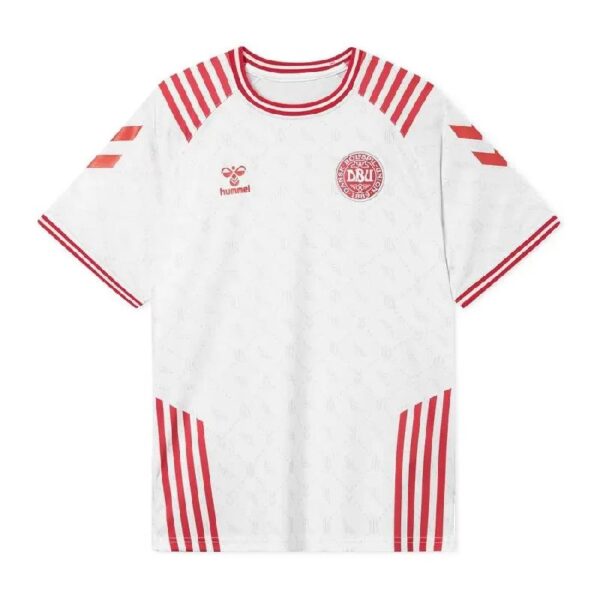 Denmark 2022 X Bls Hafnia World Cup Limited Edition Jersey