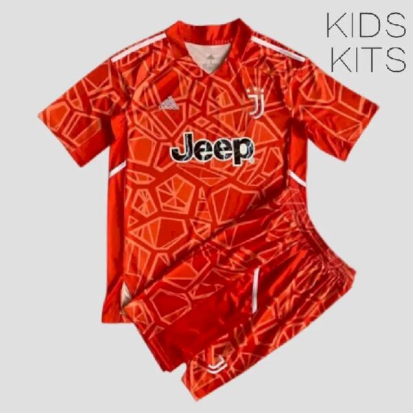 Juventus 202223 Goalkeeper Kids Jersey And Shorts Kit 44496