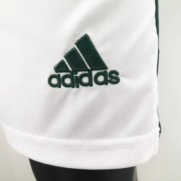 Northern Ireland 2020 Home Shorts 43591