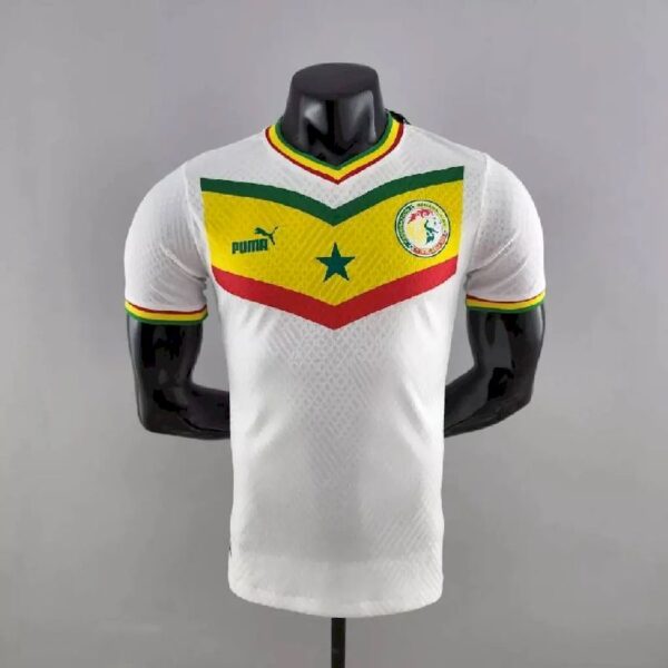 Senegal 2022 World Cup Home Player Version Jersey 40192