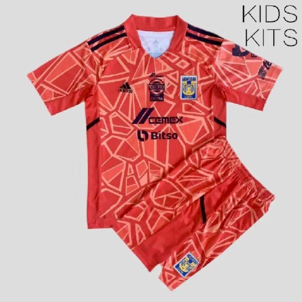 Tigres Uanl 202223 Goalkeeper Kids Jersey And Shorts Kit 46164