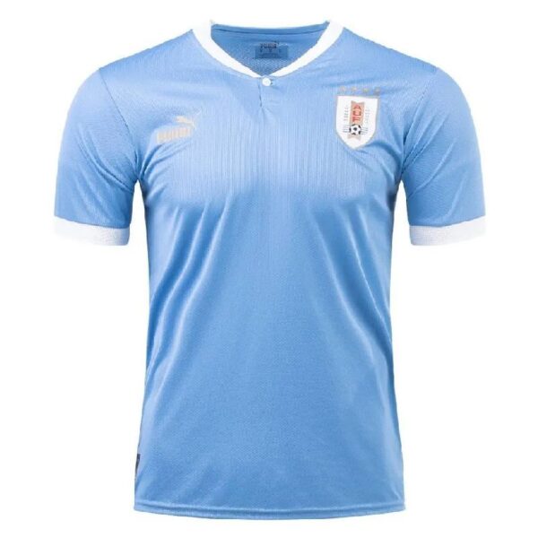 Uruguay 2022 World Cup Home Jersey 47618