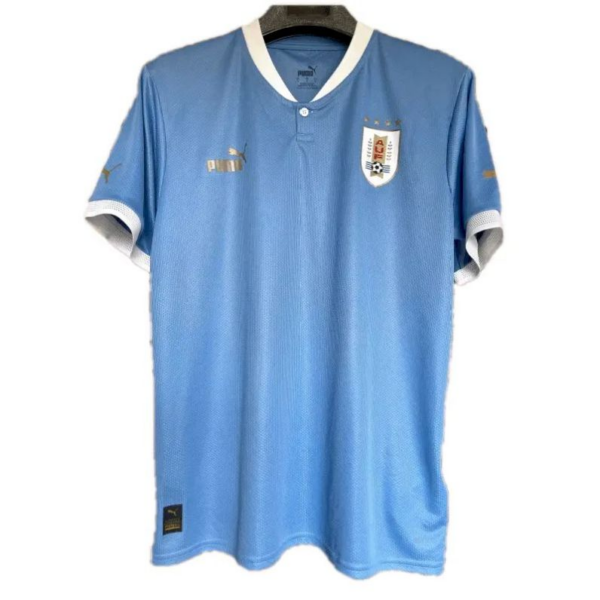 Uruguay 2022 World Cup Home Jersey 47620