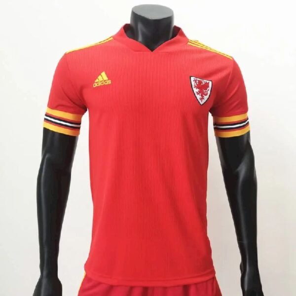 Wales 2020 Home Jersey 37004