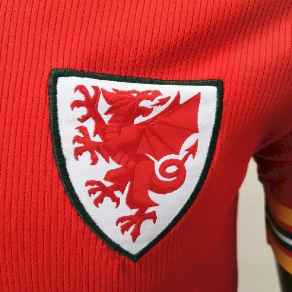 Wales 2020 Home Jersey 37006