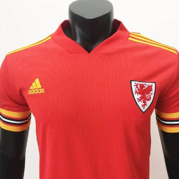 Wales 2020 Home Jersey 37009