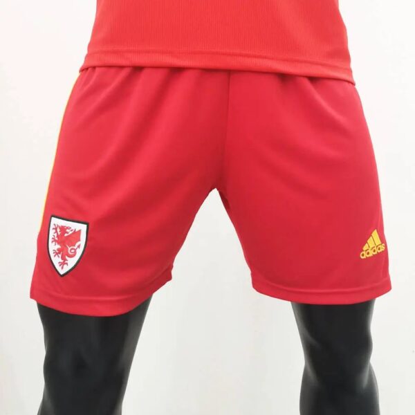 Wales 2020 Home Shorts 42858