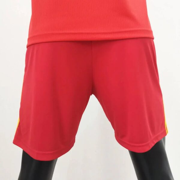 Wales 2020 Home Shorts 42859