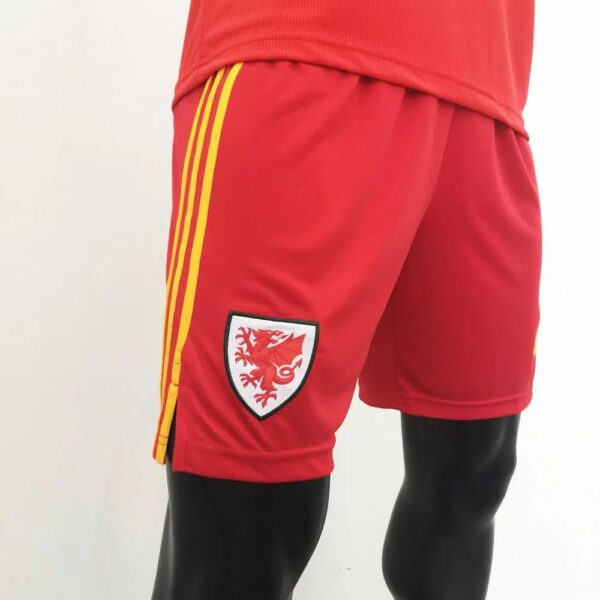 Wales 2020 Home Shorts 42860