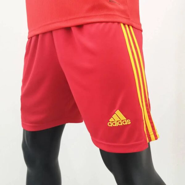 Wales 2020 Home Shorts 42861